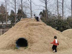 -前小桔亲子创意农场·草莓采摘·露营烧烤