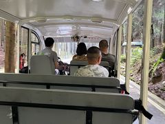 -山王坪喀斯特国家生态公园