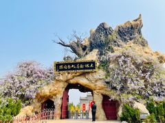 -大槐树寻根祭祖园