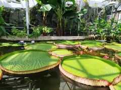 -国家植物园南园