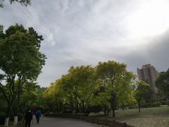 -莲花池公园