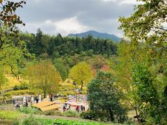 -塔川景区