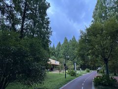 -黄海国家森林公园
