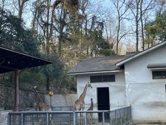 -杭州动物园