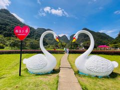 -靖西鹅泉风景区