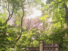 -云龙山