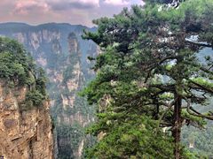 -湘小伍(天子座店)