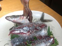 -桂马·日本料理·海胆·海鲜饭·酒场(民主广场店)