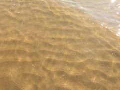 -日照海滨国家森林公园