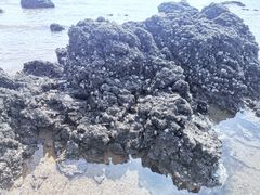 -青岛银沙滩