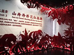 -陕北民歌博物馆