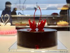 -BLACKSWAN黑天鹅(环球店)