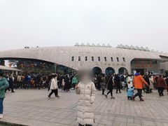 -自贡恐龙博物馆