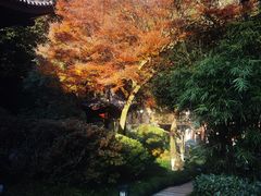 -阿巧茶庄