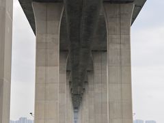 -中澳友谊花园
