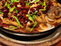 老板恋上鱼-老板恋上鱼(高新万达店)