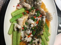 鲜花椒蒸桂花鲈-猪肉婆私房菜(容桂总店)