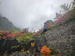 -古尔沟华美达温泉度假酒店