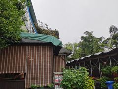 -先机泉水鸡汤(南山老君洞店)