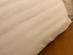 -维也纳酒店(南京奥体中心店)