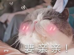 -犀牛家猪排
