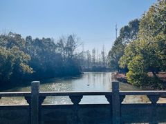 -上海海湾国家森林公园