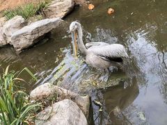 -济南野生动物世界