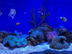 -上海海洋水族馆