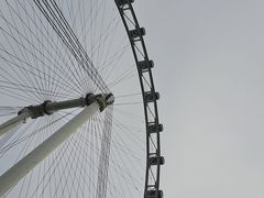 -新加坡摩天观景轮