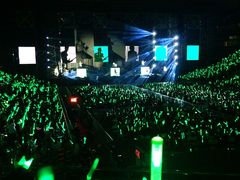 -南京奥林匹克体育中心-体育馆