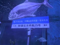 -常州海昌海洋探索馆