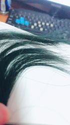 -FC·fashion creativity