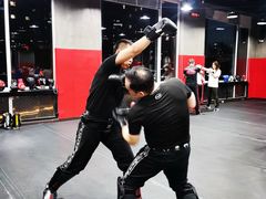 -极斗-IKMF马伽术·格斗运动学院(东直门店)