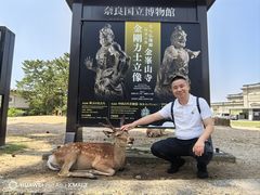 -奈良公园