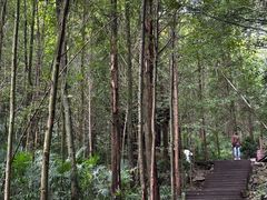 -凤栖山