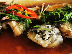 -八仔大富楼·河鲜(西江店)