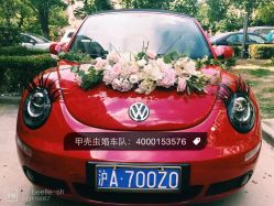 -畅步婚车(浦东店)