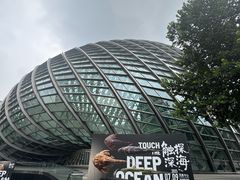 -凤凰中心