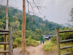 -野象谷景区