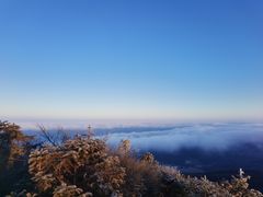-武陵山森林公园