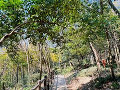 -上海佘山国家森林公园天马山园