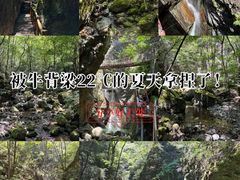 -牛背梁国家森林公园