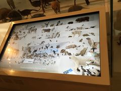 -墨尔本博物馆(Melbourne Museum)