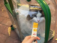 -拜鲁耶动物诊疗中心·宠家动物医院