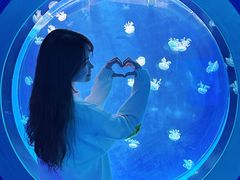 -左海海底世界