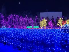 -摩天活力城·摩天轮