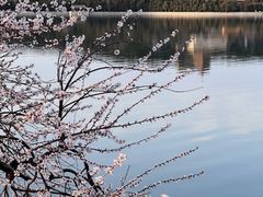 -颐和园