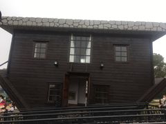-金山农民画村-枫泾波兰倒置屋