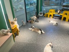 -凯德广场(学府店)