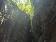 -牛背梁国家森林公园